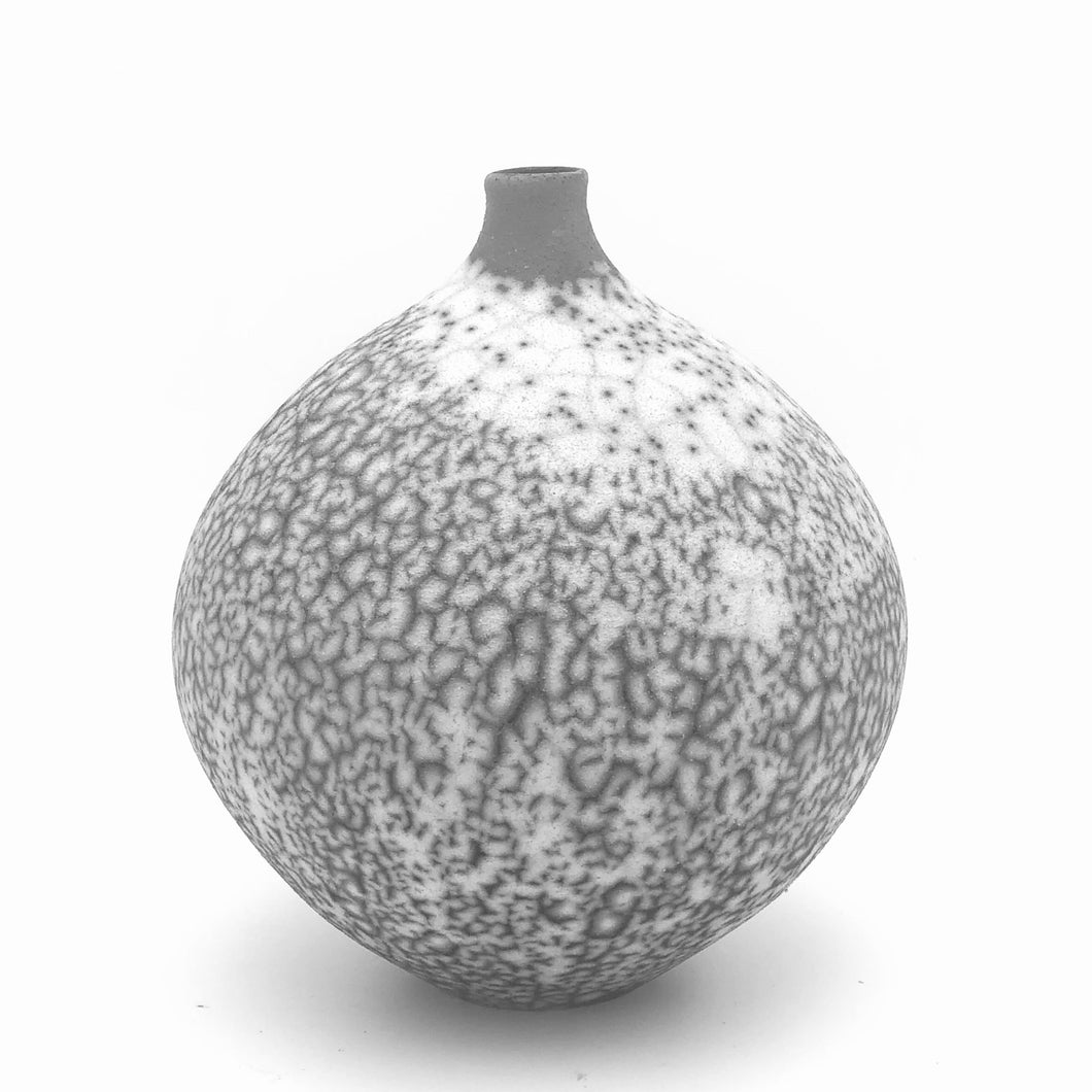09/2023-12