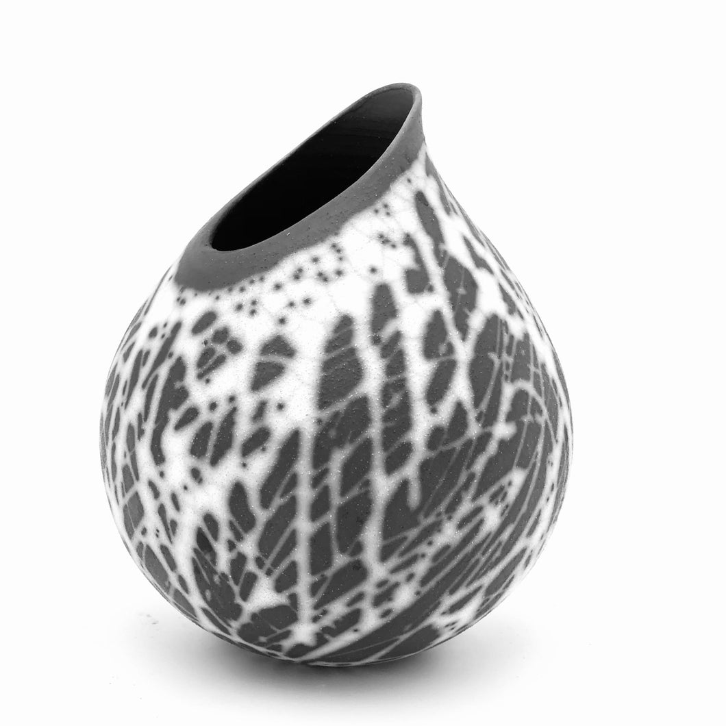 02/2024 - 11